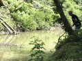 Warten auf die Duckenten